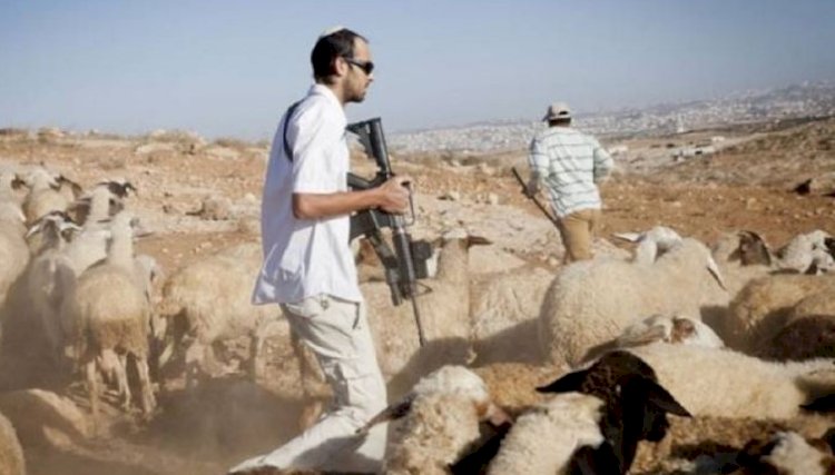 Israeli settlers attacking Palestinian herders in the West Bank.