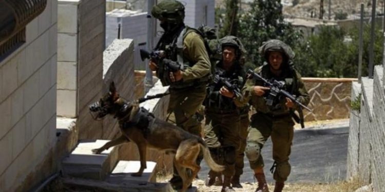 IOF Raid Several Palestinian Homes in Occupied Jenin