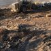 Israeli Forces Demolish Palestinian Agricultural Facilities East of Jerusalem