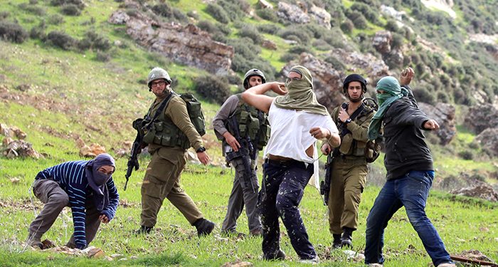 Israeli Settlers Launch Second Consecutive Attack on Palestinian Palestinian Farmer, His Wife