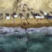 As a heat wave that has sent temperatures over 35 degrees Celsius continues to scorch the Gaza Strip, many residents have rushed to the beach to escape the sweltering conditions and the chronic power shortages that have plagued the coastal enclave for years.