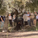 Scores of Israeli Settlers Invade Jerusalem’s Al-Aqsa Mosque