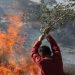 Israeli Settlers Set Fire to Village Lands in the West Bank