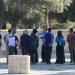 Dozens of Israeli Settlers Invade Al-Aqsa Mosque