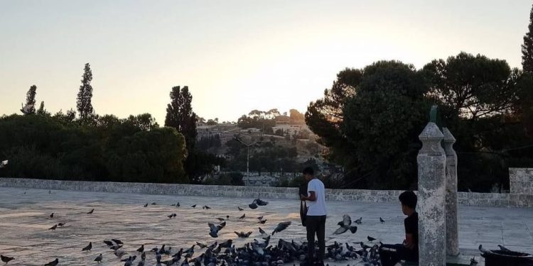 Pictures: Muslim Worshipers at Al-Aqsa Mosque this Morning