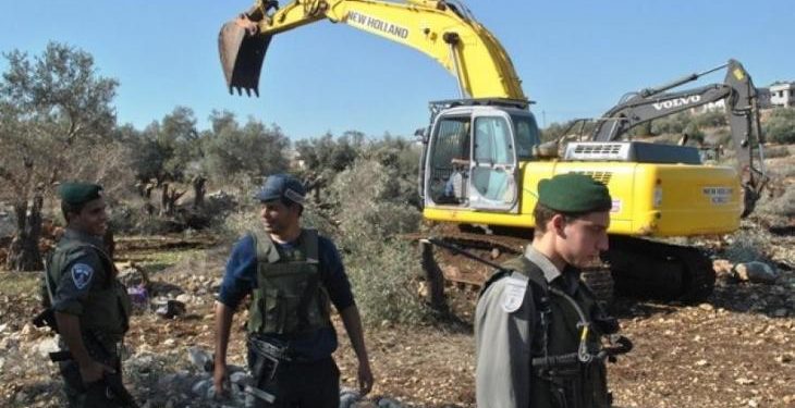 Israeli Bulldozers Uproot 100s of Trees in Hebron