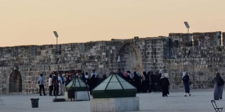 Pictures| Palestinians Continue to expand their Existence in Al-Aqsa