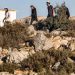Israeli Settlers Attack Palestinian Homes Northwest Ramallah
