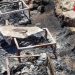 Israeli Settler Sets Fire to 20 Beehives, South Occupied Hebron