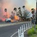 The governor of Hawaii, Josh Green, announced on Monday that the death toll from the devastating wildfires that swept across Maui last week has risen to 96, making it the deadliest fire disaster in the state’s history