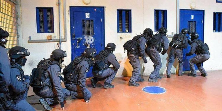Israeli Forces Storm Nafha Prison, Terrorize Palestinian Detainees