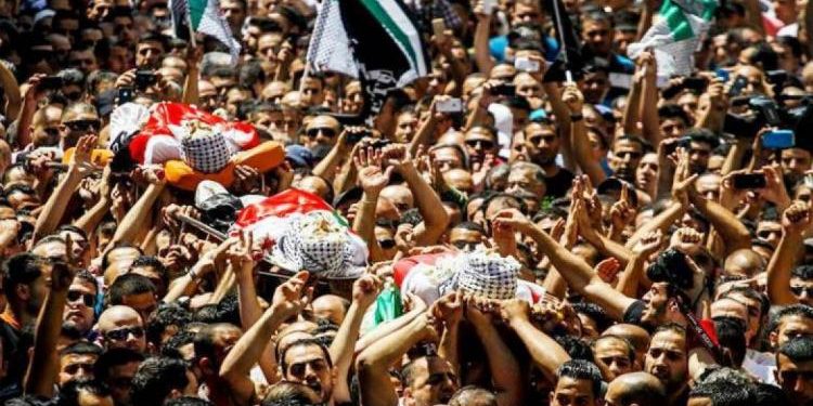 13 Palestinians Killed in Occupied West Bank and Jerusalem During First Half of August