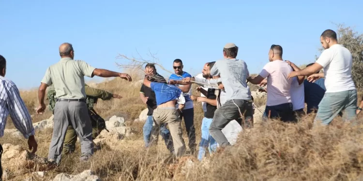 UN: 591 Settlements-Related Incidents in Occupied Palestinian Lands in 1st Half of 2023