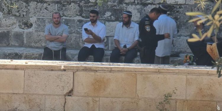 Israeli Settlers Invade Courtyards of Al-Aqsa Mosque