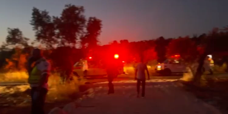 Four Palestinians, including a local election candidate, were killed in a shooting attack on Tuesday evening in an agricultural area in Abu Snan