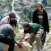 Israeli Settlers Storm Palestinian Archaeological Site in Occupied Jericho
