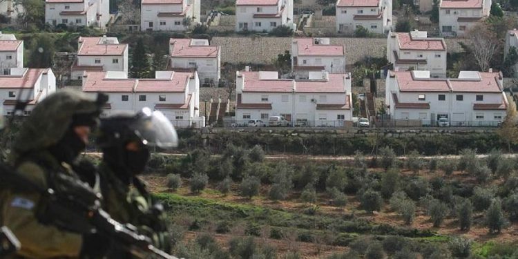 Settlement Farms: New Tool of Israeli Colonialism