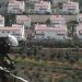 Settlement Farms: New Tool of Israeli Colonialism