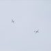 The Palestinian resistance group Hamas said on Monday that it has captured an Israeli drone that was flying over the Gaza Strip. The drone was reportedly on a spying mission and crashed due to a technical malfunction.