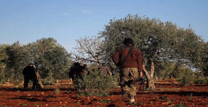 Israeli Settlers Destroy Olive Trees near Qaryut Village, Nablus