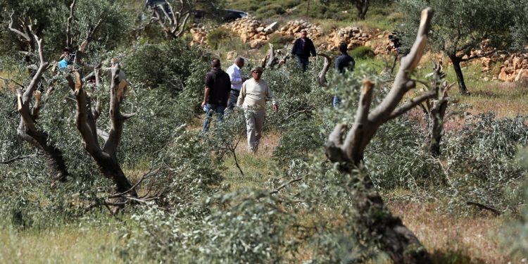 Why is Palestine not Ukraine? On the side of the aggrieved