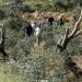 Why is Palestine not Ukraine? On the side of the aggrieved