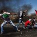 Youth Population in Palestine: Challenges and Opportunities