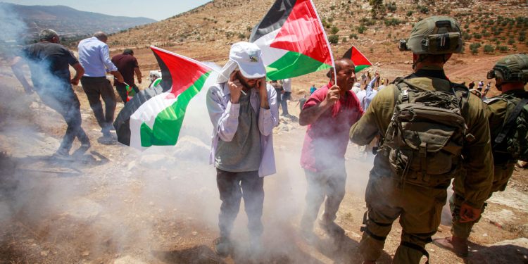 Palestine in Pictures: August 2023