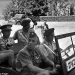 75th Anniversary of Zionists’ Assassination of UN Palestine Mediator