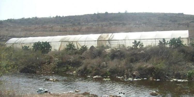 Israeli occupation Discharges Wastewater Towards Qalqiliya Lands