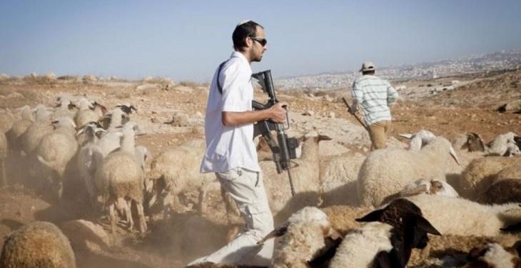 Israeli Settlers Block Palestinian Shepherds’ Access to Grazing Lands