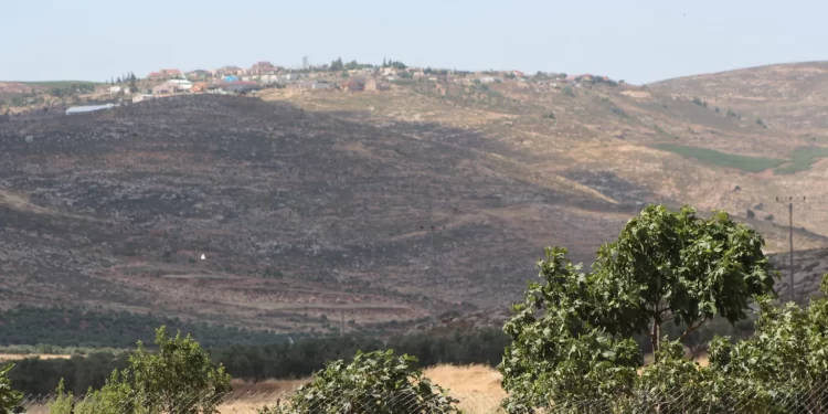In the heart of the West Bank, where ancient olive groves meet expansive wheat fields, lies the tranquil village of Al Mughayyir.