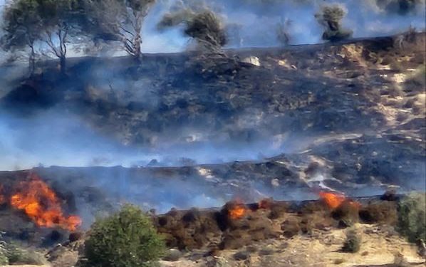 Israeli Settlers Burn Agricultural Crops South Nablus