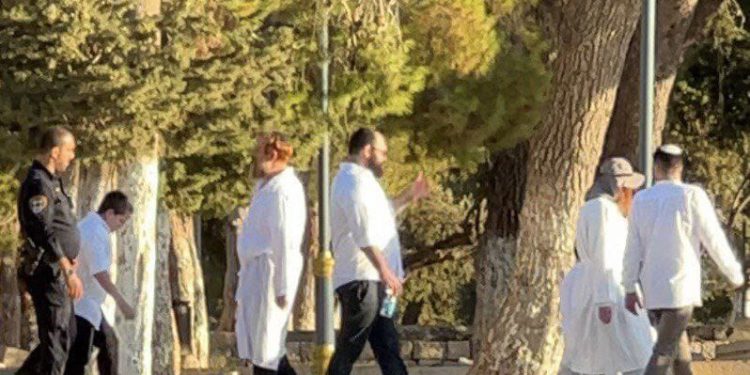 Saudi Arabia, Egypt Condemn Israeli Incursions into Al-Aqsa Mosque