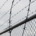 Palestinian Prisoners in Israeli Jails Continue Hunger Strike Against Arbitrary Detention