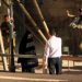 Remembering Hadeel Hashlamoun: 7 Years Since Unjust Killing
