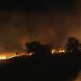 Video|| Israeli Forces Burn Palestinian Lands East of Occupied Ramallah