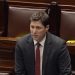 Irish Party Demands Government Action on Palestine Recognition, Divestment from Israeli Settlements