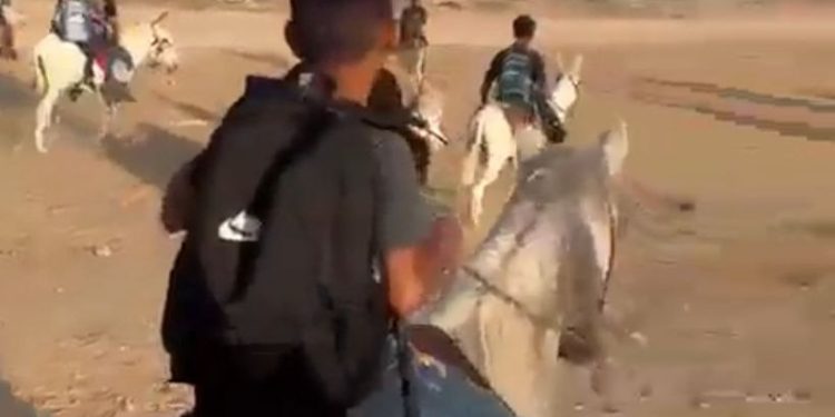 Palestinian Students Go to Schools on Camels