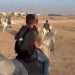 Palestinian Students Go to Schools on Camels