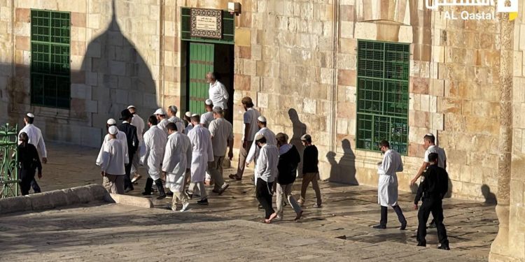Yom Kippur Holiday Brings More Settlers’ Violations on Al-Aqsa