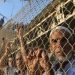 Israeli Blockade Suffocates Gaza Strip