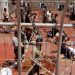 ‘Israel’ Procrastinates Prisoners’ Demands as Winter Approaches