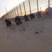 Qatar Holds Israeli Occupation Responsible for Gaza Escalation
