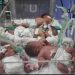 130 newborn babies in Gaza face threat of death