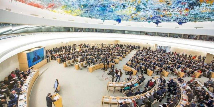 UN Human Rights Council Condemns Ongoing Israeli Violations in Palestine