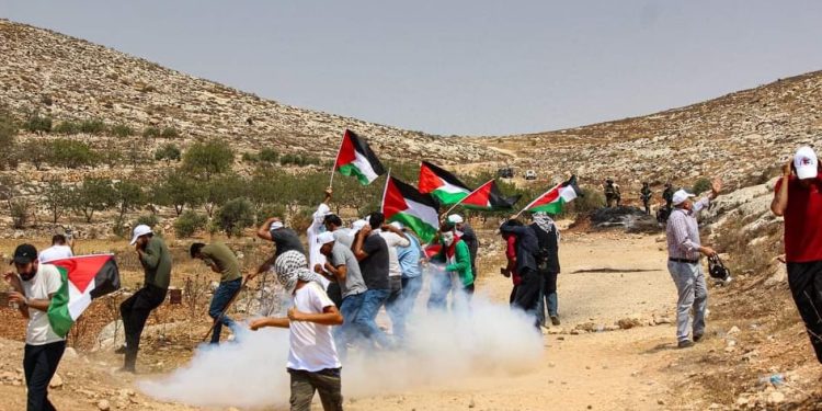 Beit Dajan: Village Resisting Colonization on Its Own Lands