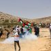 Beit Dajan: Village Resisting Colonization on Its Own Lands