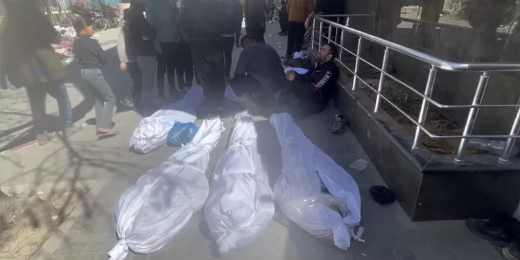 Israeli Occupation kills 23 Gazans Trying to Organize aid Distribution