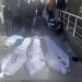 Israeli Occupation kills 23 Gazans Trying to Organize aid Distribution